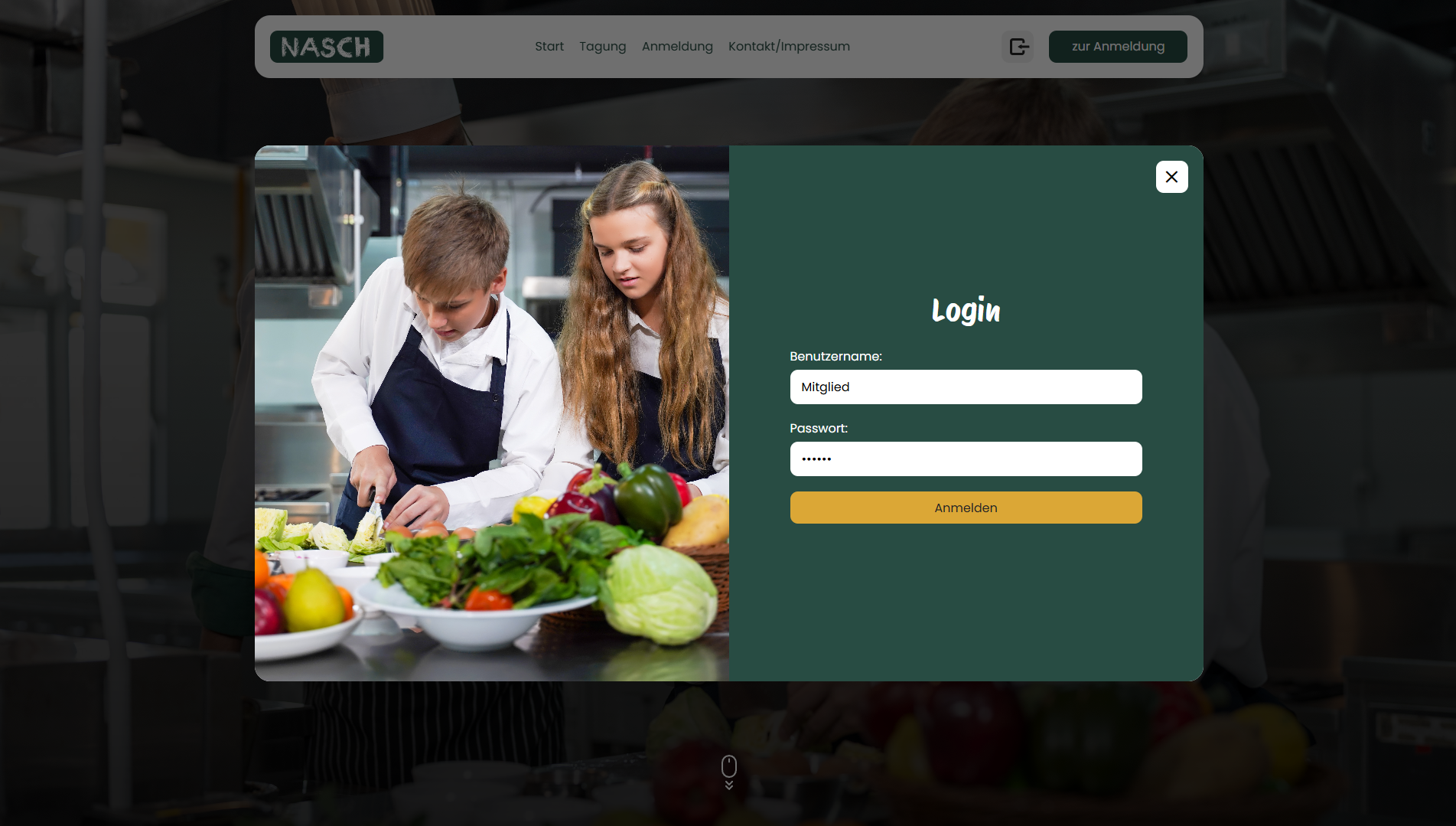 Login-Bereich der NASCH Website mit Formular zur Benutzeranmeldung